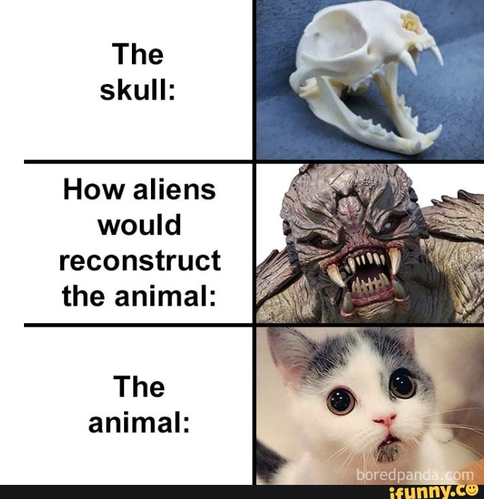 How aliens
would
reconstruct
the animal:
The
animal: