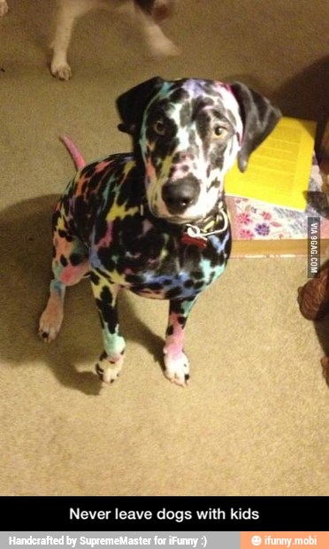Never leave dogs with kids - Never leave dogs with kids