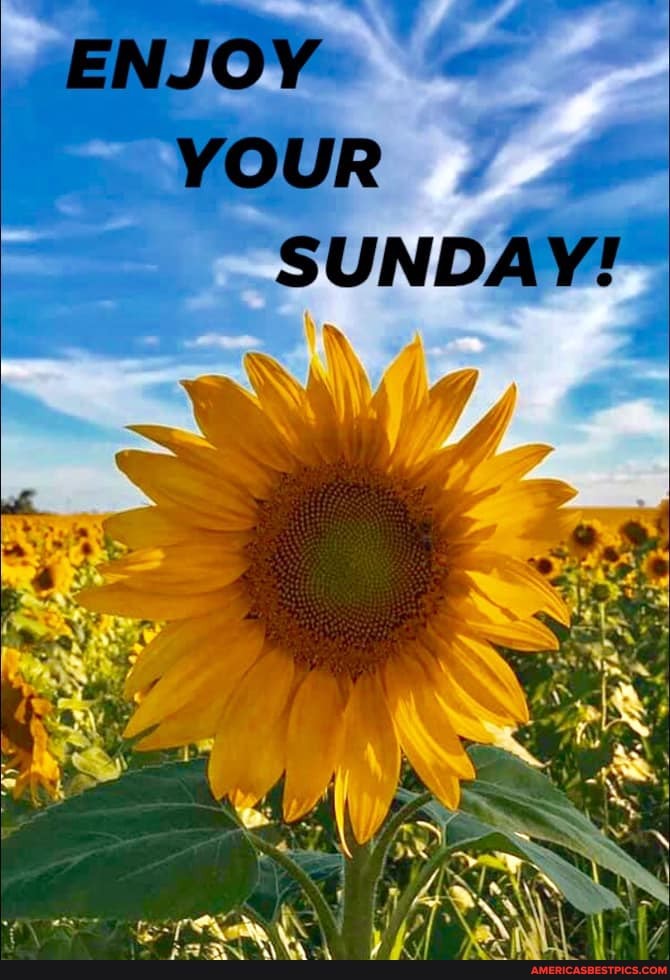 ENJOY YOUR
SUNDAY!