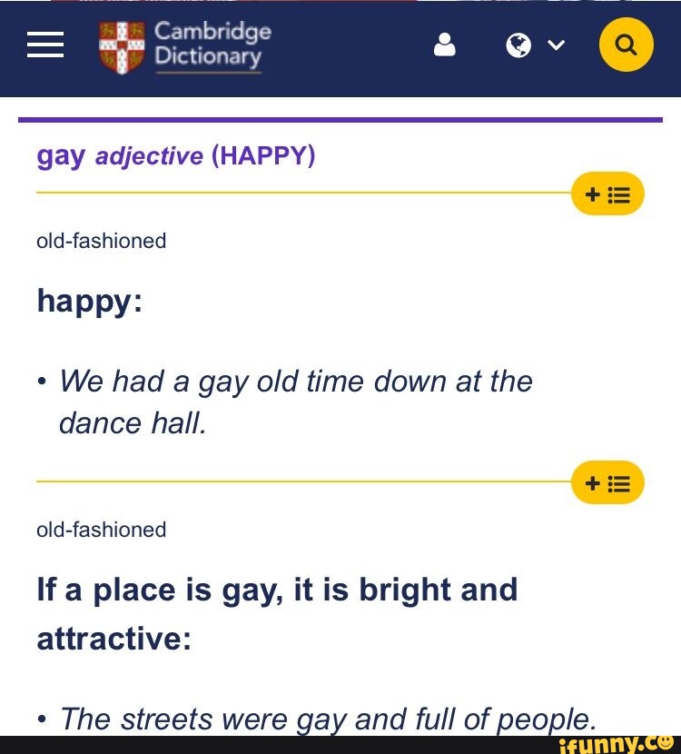 cambridge-dictionary-gay-adjective-happy-old-fashioned-happy-we-had