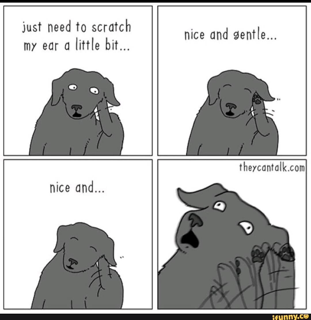 just need to scratch
my ear a
little bit...
nice and gentle...