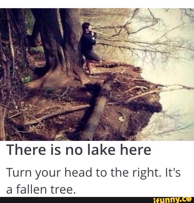 There is no lake here Turn your head to the right. It's a fallen tree ...