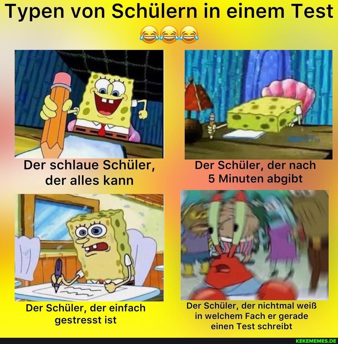 Typen von Schülern in einem Test
Der schlaue Schüler, der alles kann
Der Schüler, der nichtmal weiß in welchem Fach er gerade einen Test schreibt
Der Schüler, der einfach gestresst ist