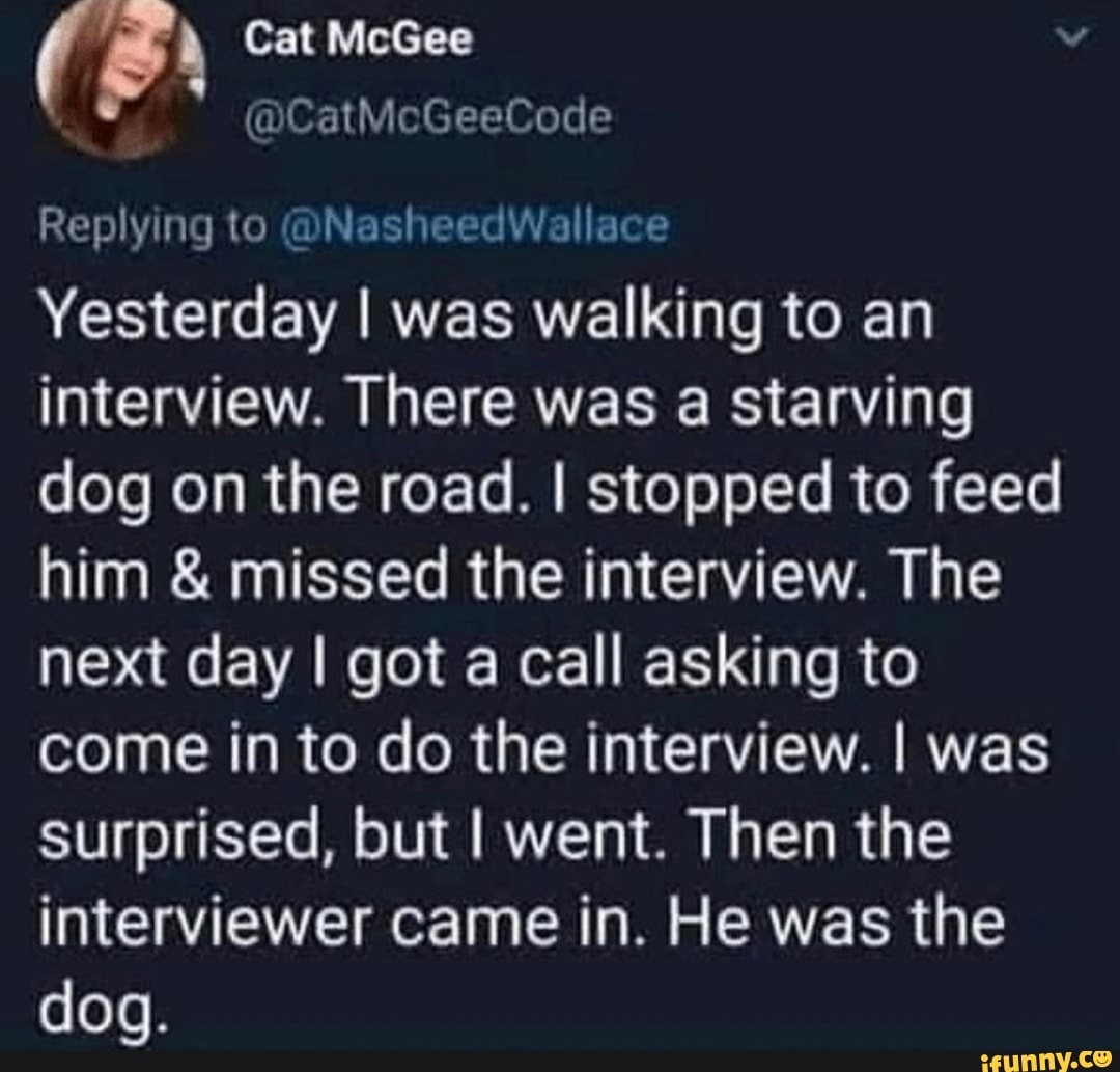 ( Cat McGee
@CatMoGeeCode
Replying to
Yesterday I was walking to an interview. There was a starving dog on the road. I stopped to feed him & missed the interview. The next day I got a call asking to come in to do the interview. I wa surprised, but I went. Then the interviewer came in. He was the dog.