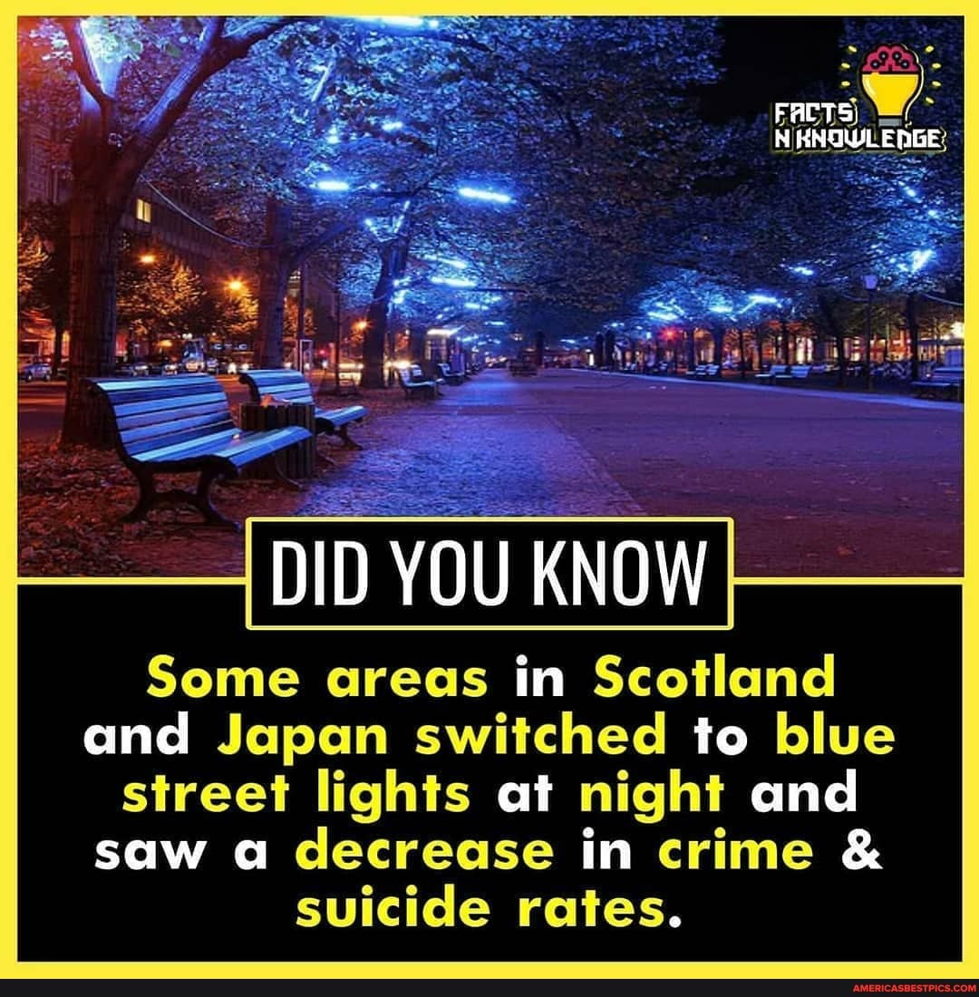 DID YOU KNOW
Some areas in Scotland and Japan switched to blue street lights at night and saw a decrease in crime & suicide rates.