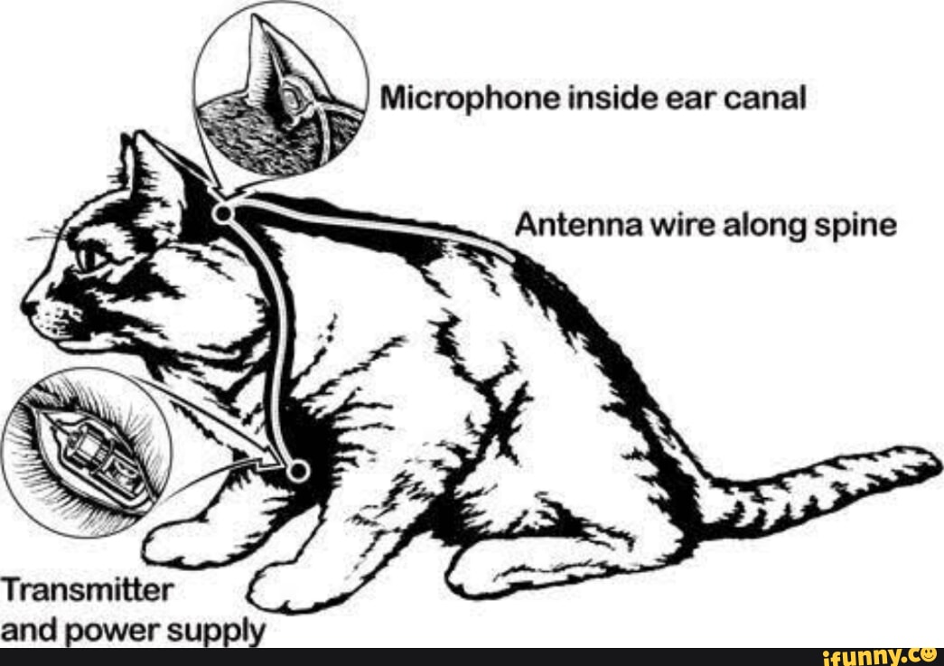 Microphone inside ear canal Antenna wire along spine Transmitter and ...