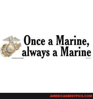 Once a Marine, always a Marine - America’s best pics and videos