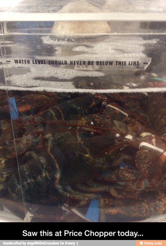 Saw this at Price Chopper today... - Saw this at Price Chopper today...