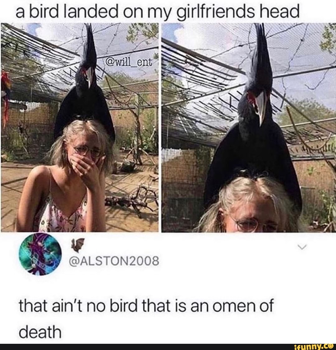 a bird landed on my girlfriends feels
that ain't no bird that is an omen of
death