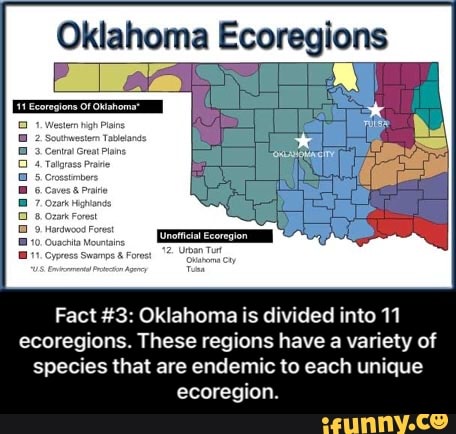 Oklahoma Ecoregions Fact 3 Oklahoma Is Divided Into 11 Ecoregions   E9a9d3bf7d1d2715d14782c6cd584db5ba2db768bc720db0289881705d9da823 1 