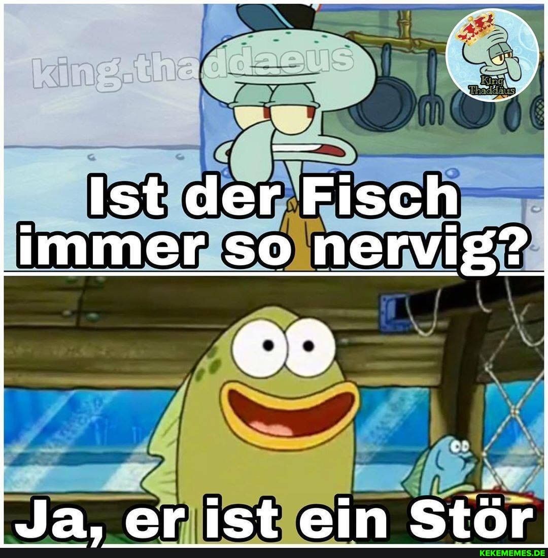 Ist der Fisch
Immer so nervig?
Ja. er ist ein Stör