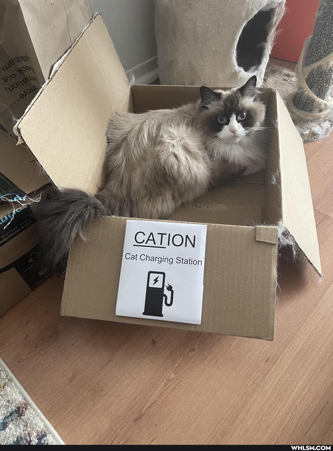 cATION
Cat Charging Station