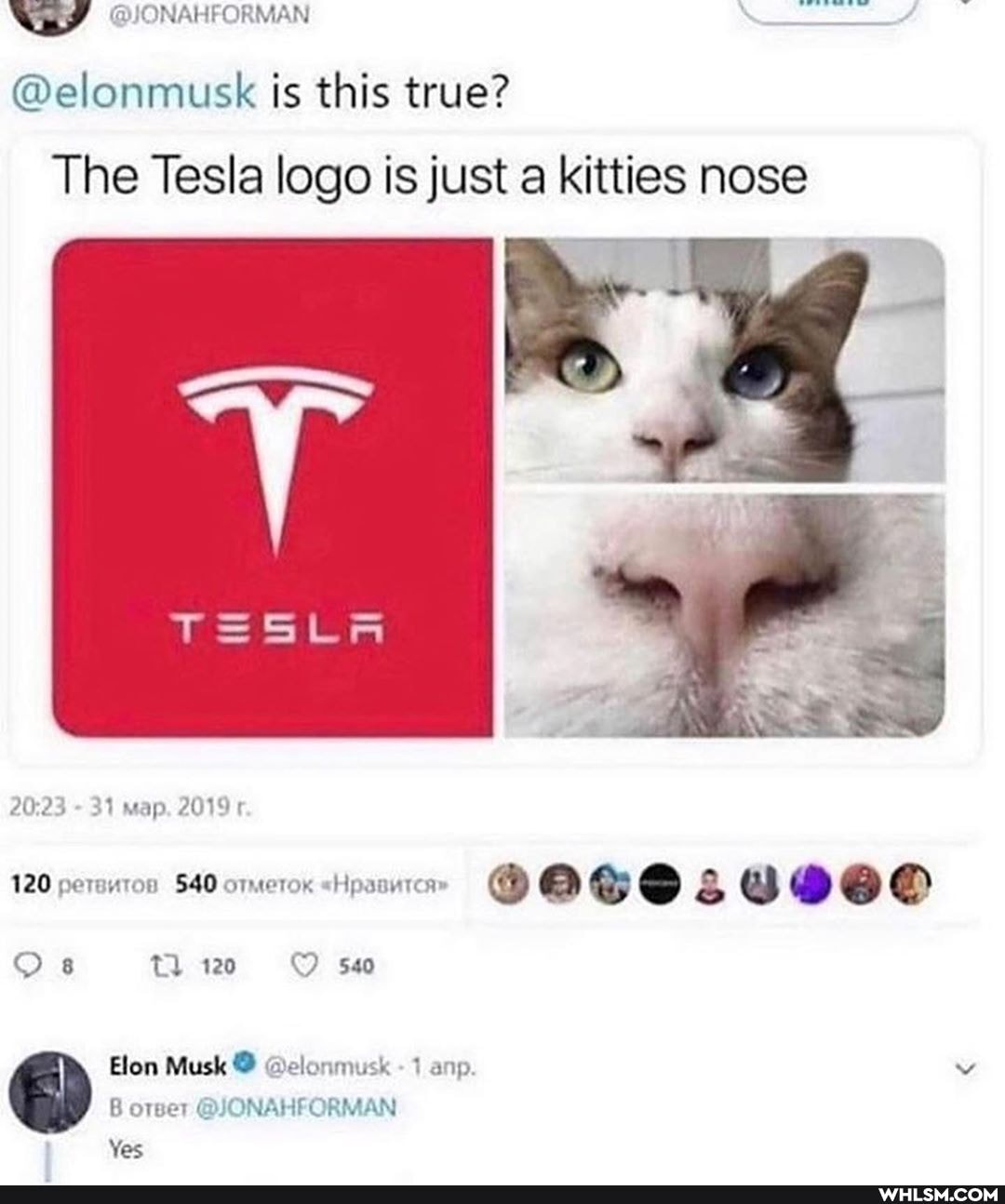 @JONAHFORMAN
@elonmusk is this true?
The Tesla logo is just a kitties nose
TSSla
AG
120 ) & &
tl 120 540
lon Musk O AN AN
Yes