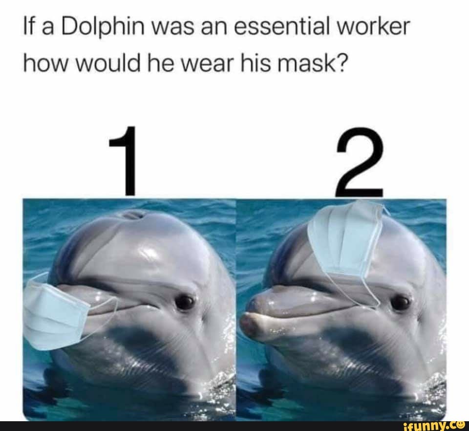 If a Dolphin was an essential worker
how would he wear his mask?