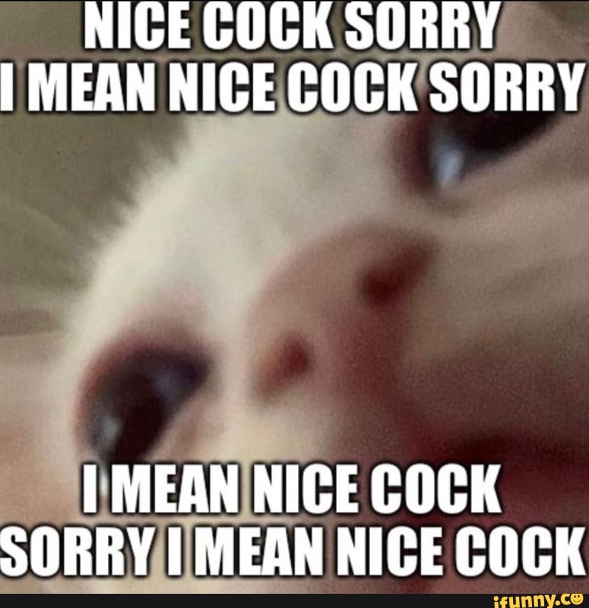 Nice Cock Sorry I Mean Nice Cock Sorry Mean Nice Cock Sorry Mean Nice Cock