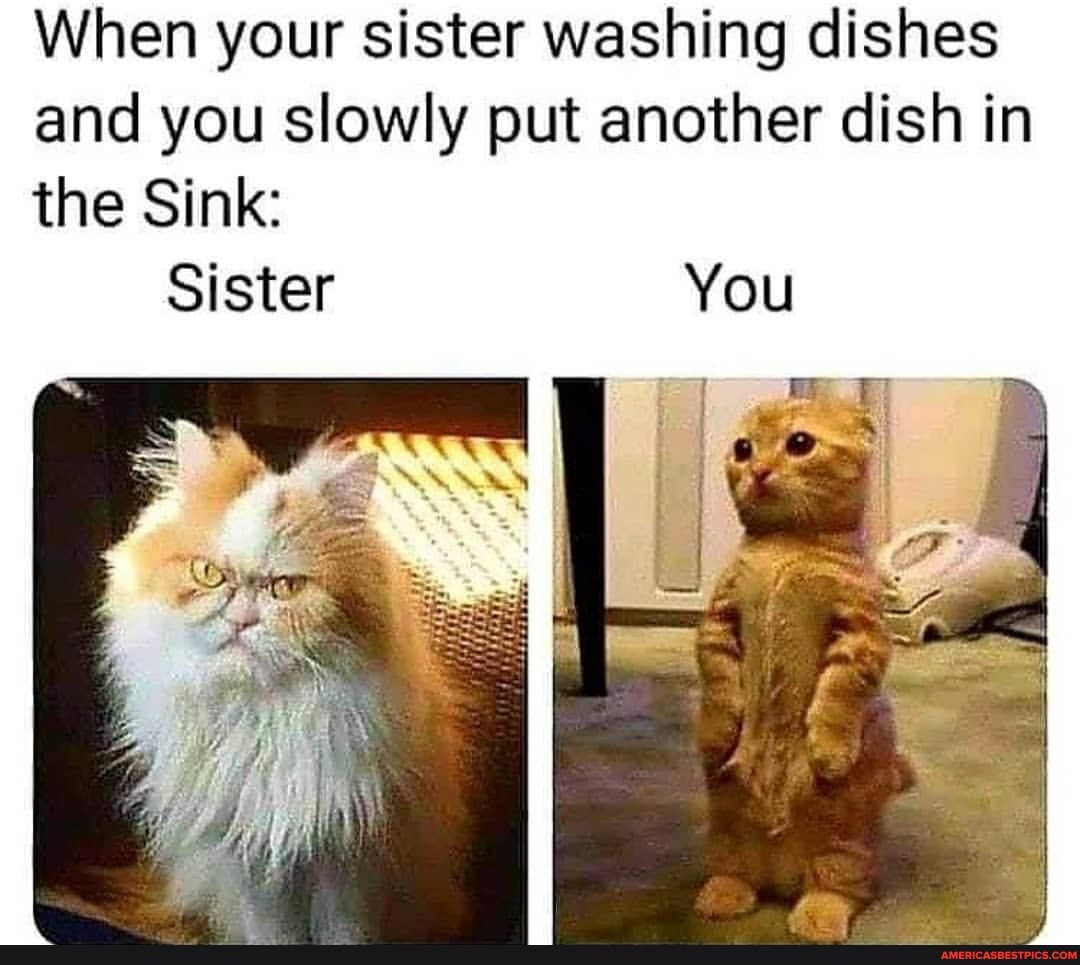 When your sister washing dishes and you slowly put another dish in the Sink:
Sister You