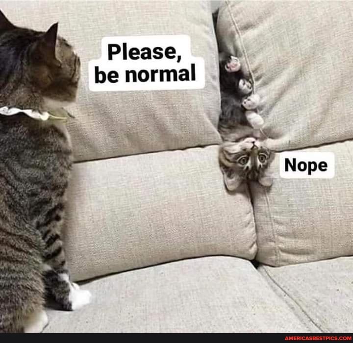 Please, be normal