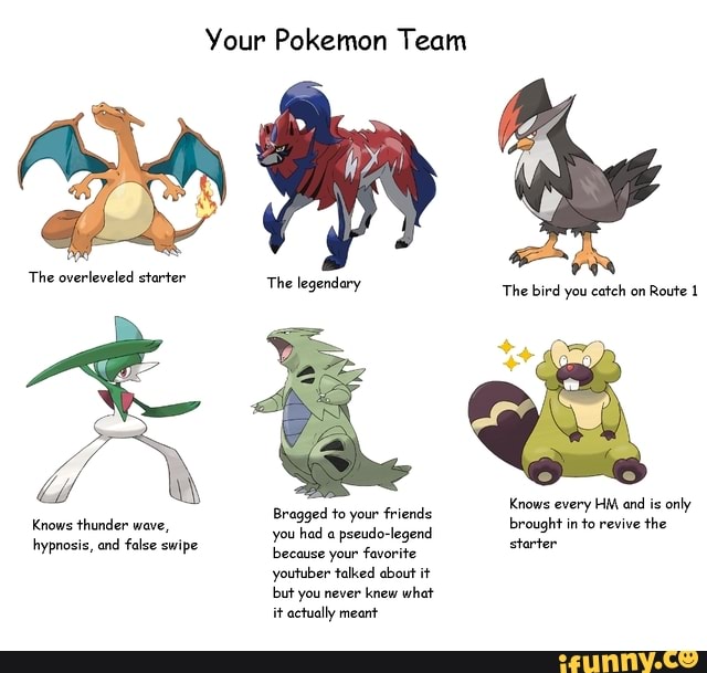 Your Pokemon Team The overleveled starter The legendary The bird you