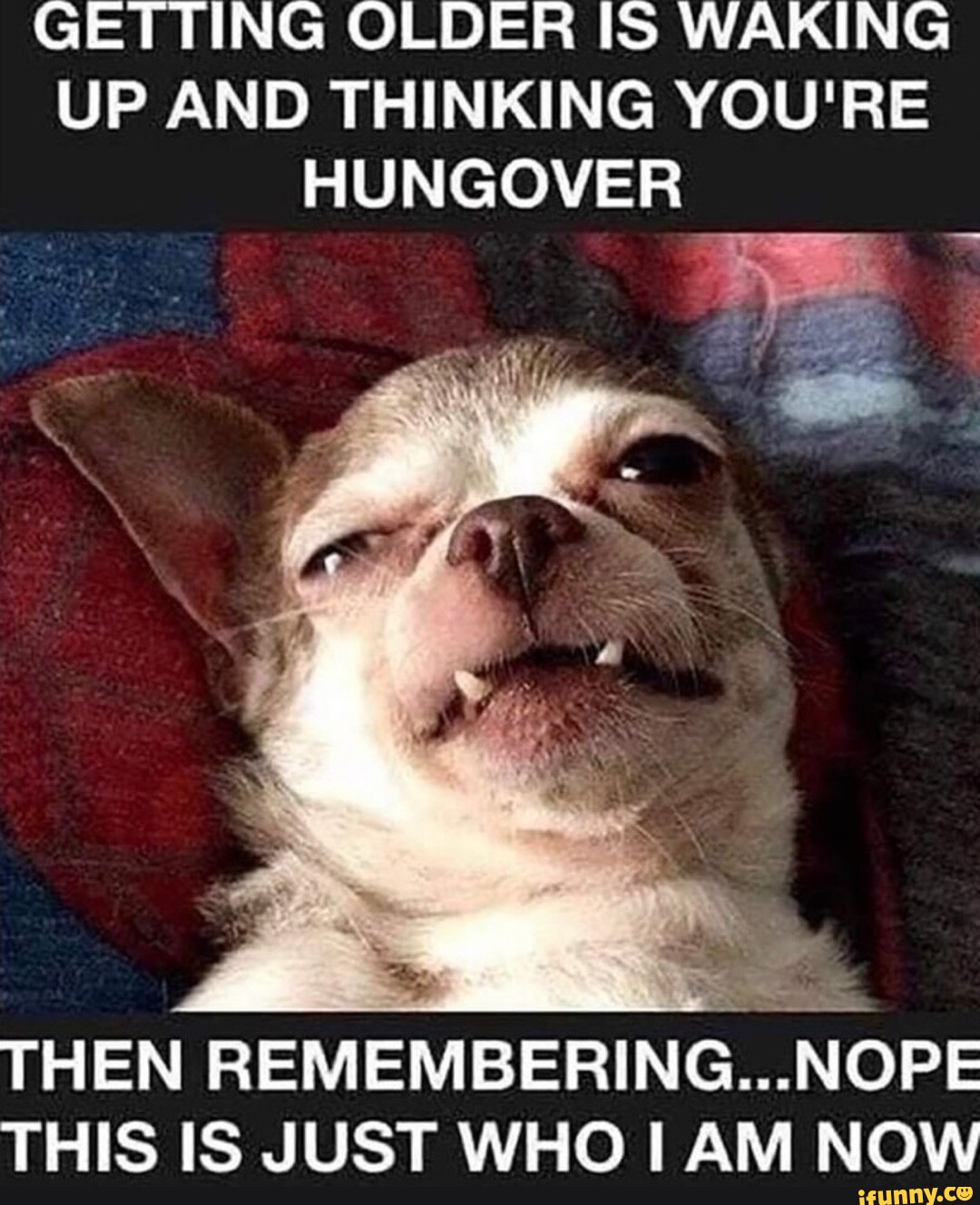 Getting Older Is Waking Up And Thinking You're Hungover Then 