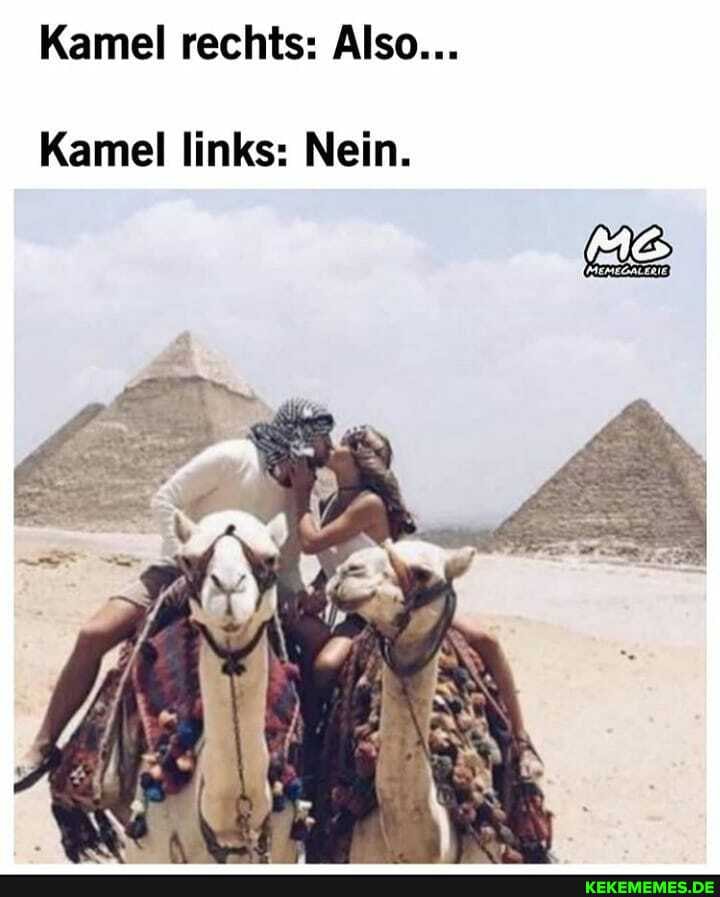 Kamel rechts: Also...
Kamel links: Nein.