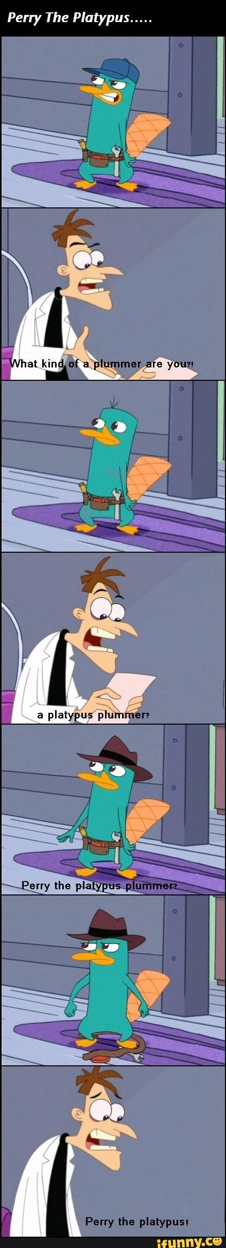 <b>Perry</b> The Platypus. 