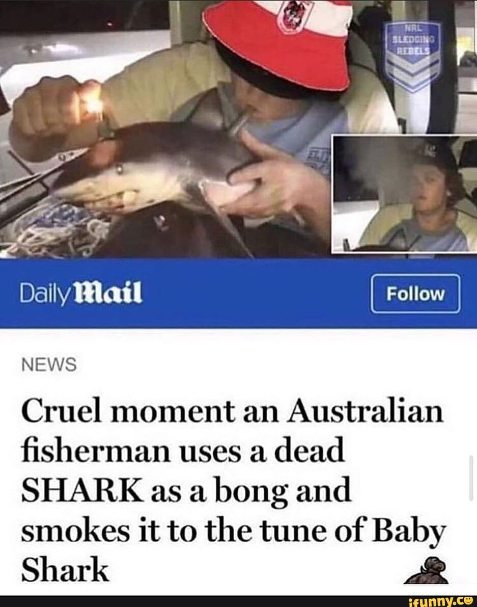 Daily Mail Follow I NEWS
Cruel moment an Australian fisherman uses a dead
SHARK as a bong and smokes it to the tune of Baby
Shark