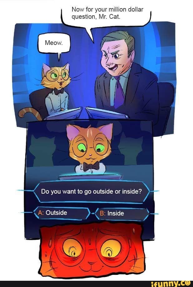 Now for your million dollar
question, Mr. Cat.