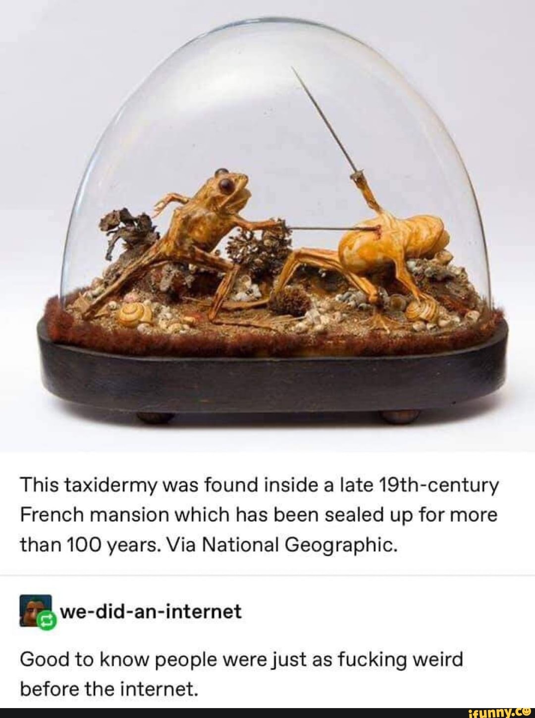This taxidermy was found inside a late 19th-century
French mansion which has been sealed up for more than 100 years. Via National Geographic.
we-did-an-internet
Good to know people were just as fucking weird before the internet.