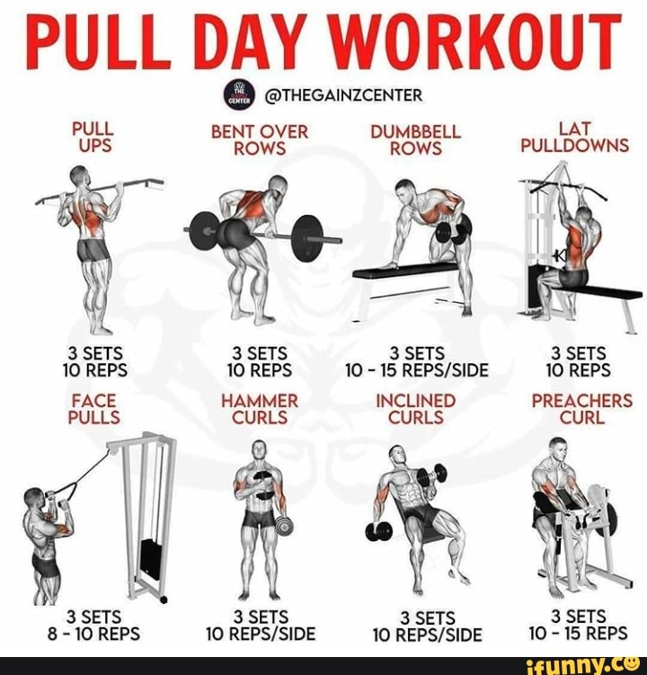 PULL DAY WORKOUT O omecanzcenter PULL BENT OVER DUMBBELL ROWS ROWS LAT ...