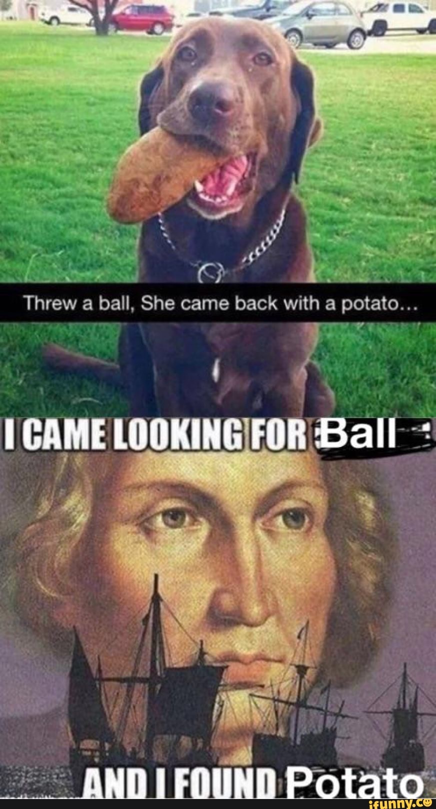 Threw a ball, She came back with a potato...
AR
i GAME LOOKING FOR Ball
