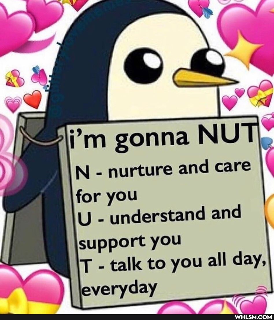 ge gonna NU
ff
N - nurture and care
for you
U - understand and
support you
T - talk to you all day,
_al