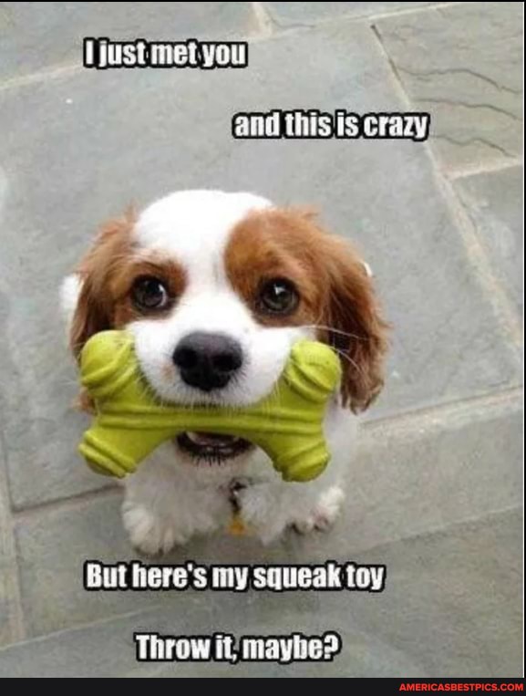 just met you!
this is