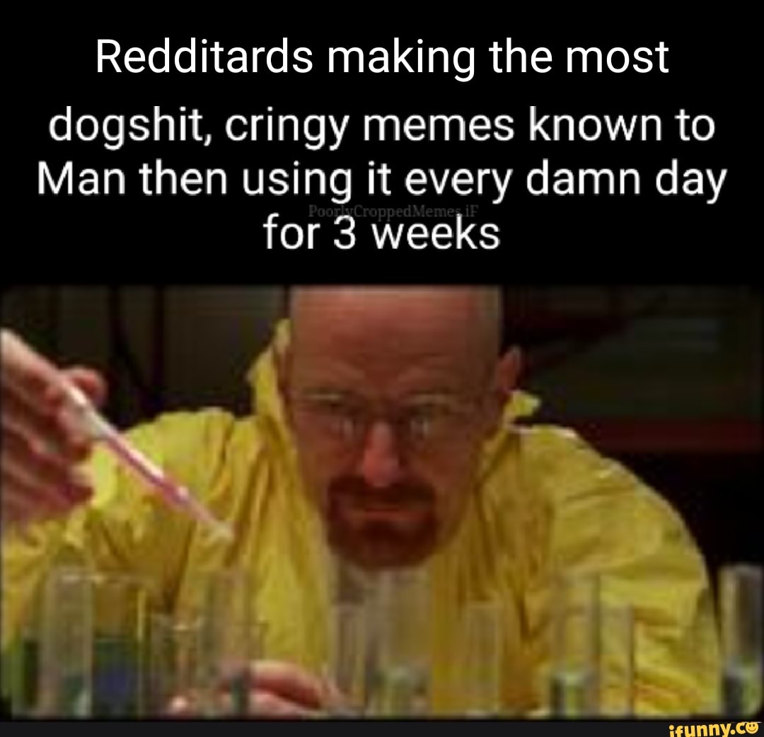 Redditards making the most dogshit, cringy memes known to Man then ...