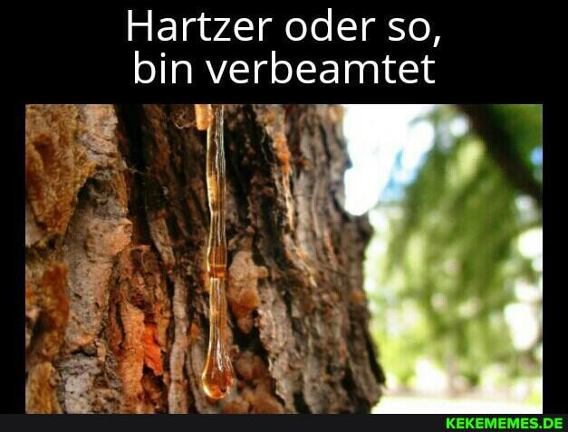 Hartzer oder so, bin verbeamtet