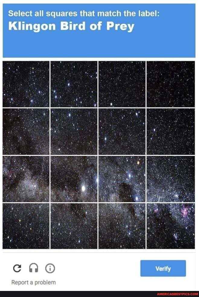 Select all squares that match the label:
Klingon Bird of Prey