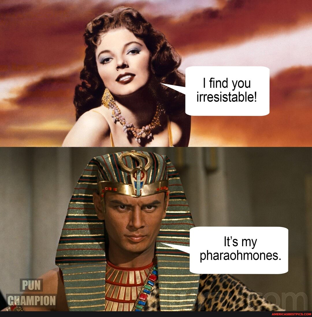 Punny Pharaoh😃 Like Our Page For Daily Puns & Dad Jokes! - Find You 