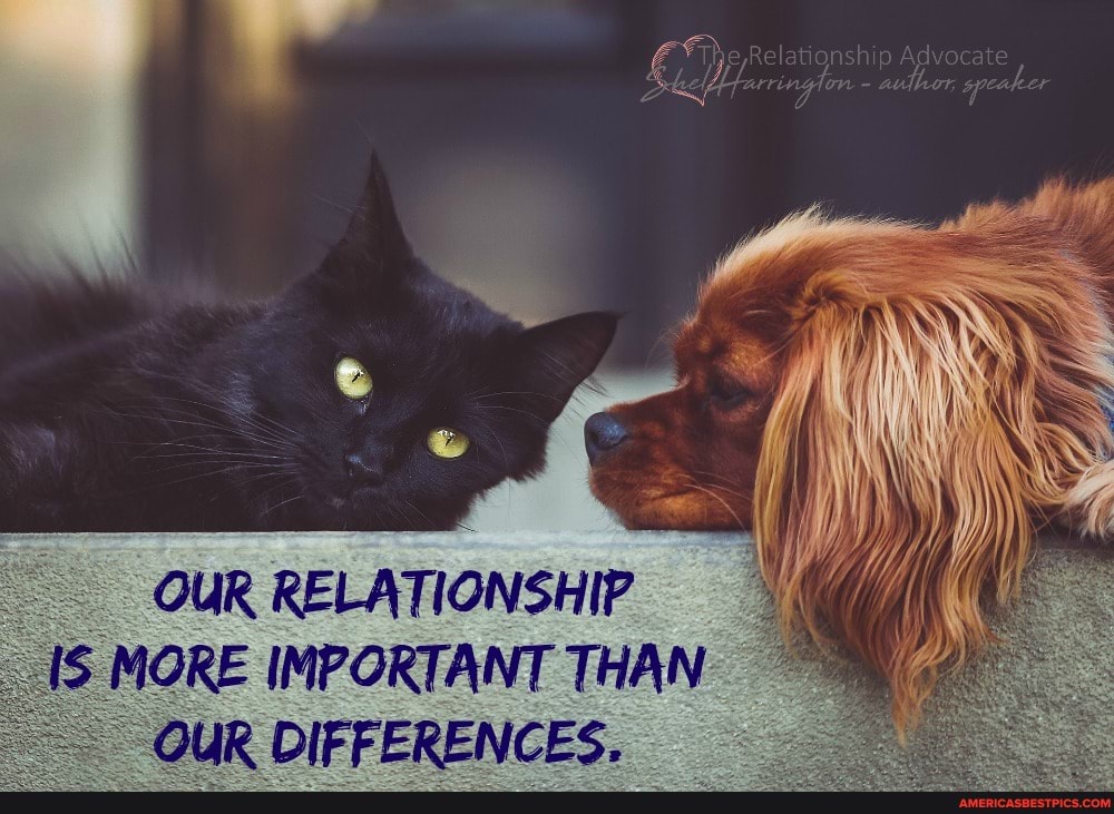 Relationship Advocate
OUR RELATIONSHIP MORE IMPORTANT THAN QUR DIFFER