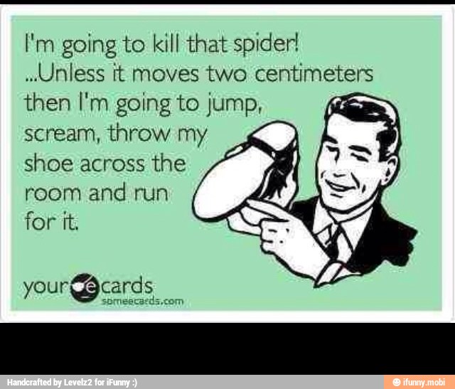 I'm going to kill that spider!
"Unless it moves two centimeters
then I'm going to jump,
scream, throw m
shoe across
the
room and run
for it. -