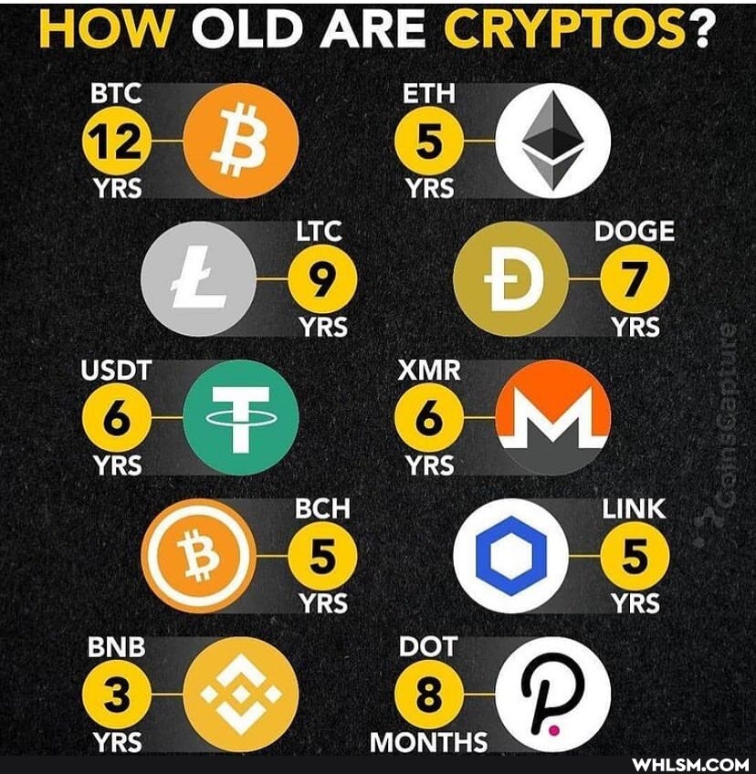 HOW OLD ARE CRYPTOS?
BTC ETH YRS YRS DOGE YRS USDT YRS BNB XMR LINK BCH YRS DOT