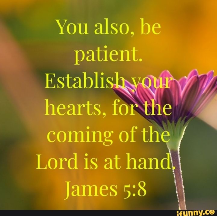 You also, be patient. hearts, coming of the ( Lord is at hand} James - )