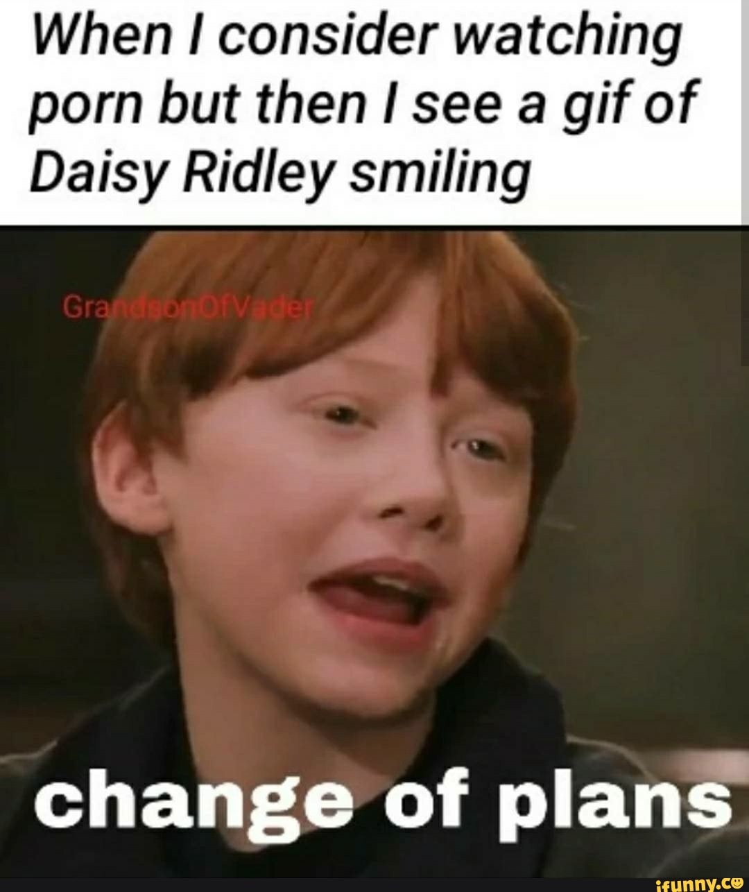 Daisy Porn Captions - When I consider watching porn but then I see a gif of Daisy ...