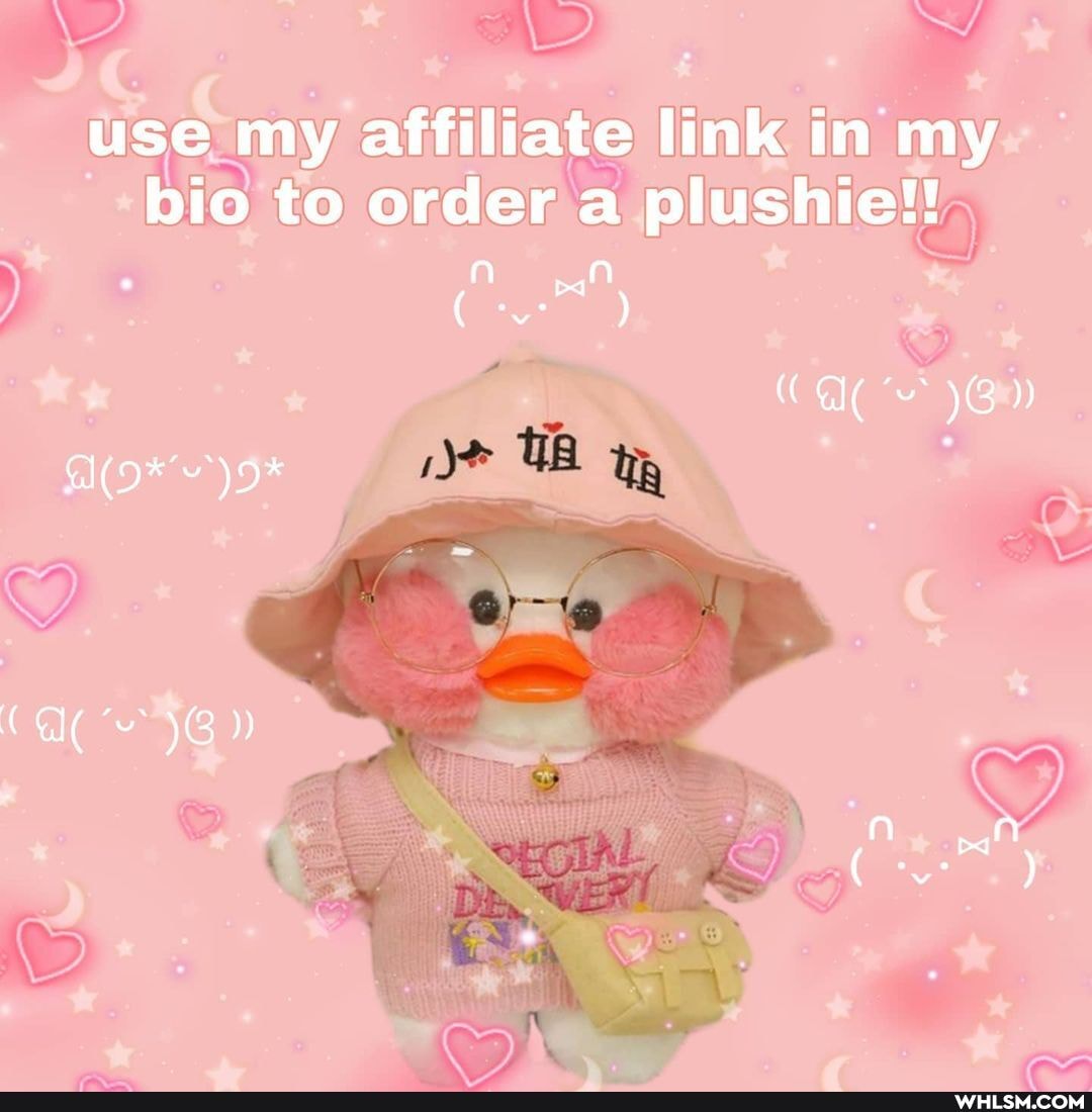 use my affiliate link in my bio to order a plushie!!
nn pal
(Ca GB) aor )o*
