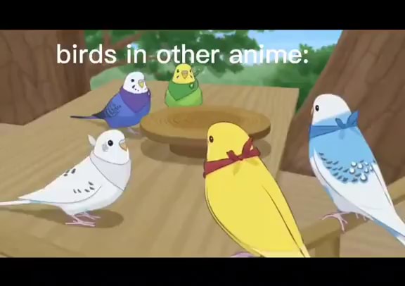 Discover more than 66 cute anime birds latest - in.duhocakina