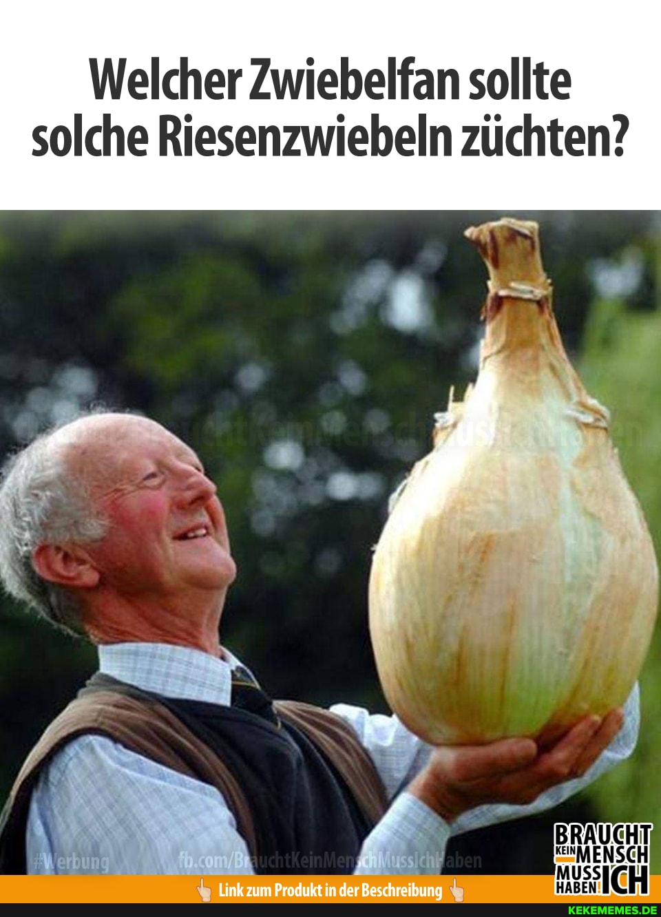 Welcher Zwiebelfan sollte solche Riesenzwiebeln züchten?