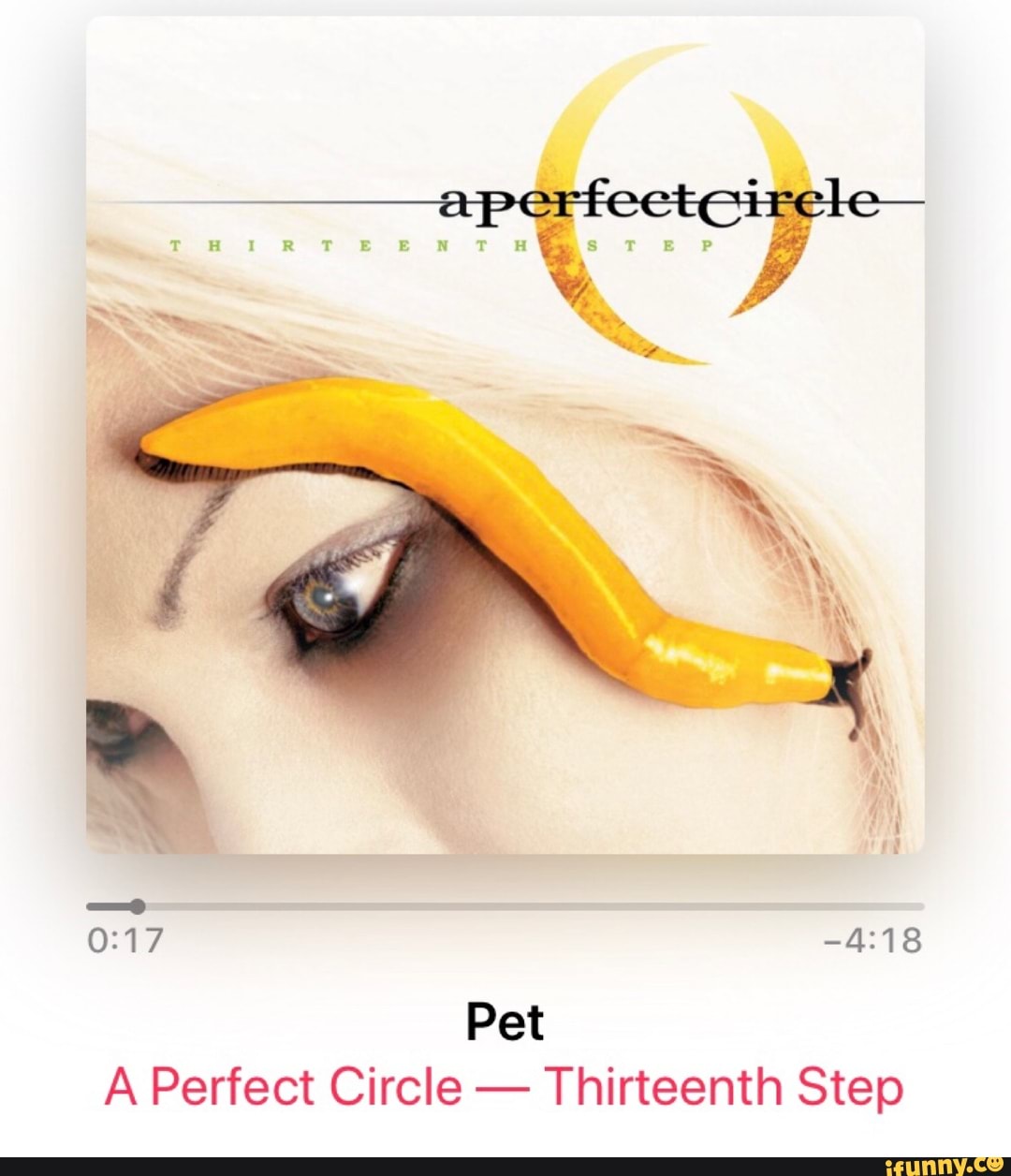 Pet A Perfect Circle Thirteenth Step - )