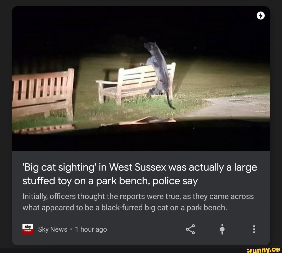 Big Cat Sighting In West Sussex Was Actually A Large Stuffed Toy On A Park Bench Police Say