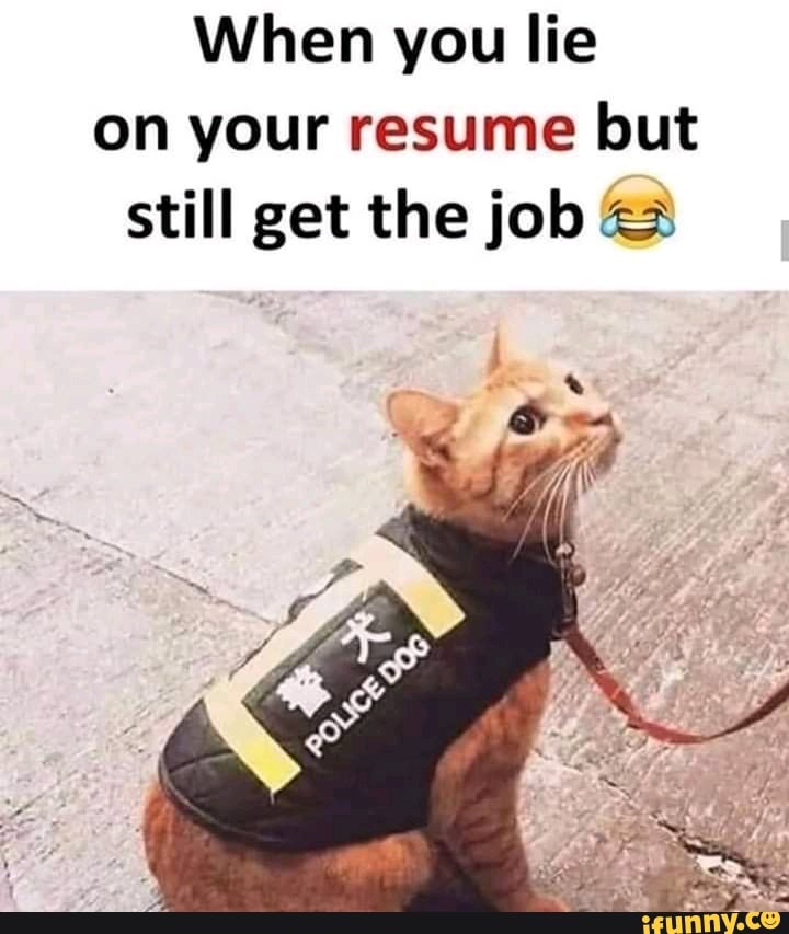 When you lie on your resume but still get the job (res iFunny )