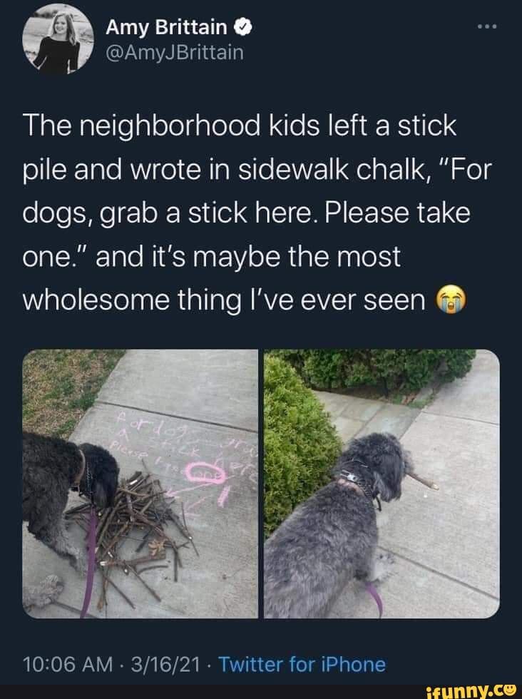 Amy Brittain
The neighborhood kids left a stick pile and wrote in sidewalk chalk, "For dogs, grab a stick here. Please take one." and it's maybe the most wholesome thing I've ever seen
AM . . Twitter for iPhone