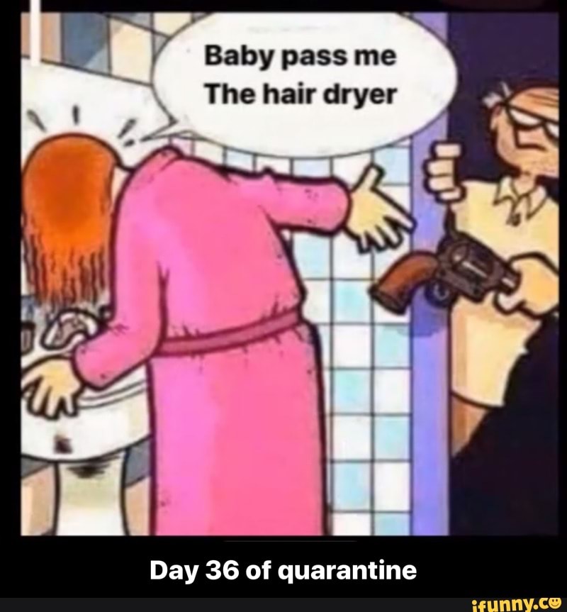 Baby pass me
The hair dryer
Day 36 of quarantine - Day 36 of quarantine