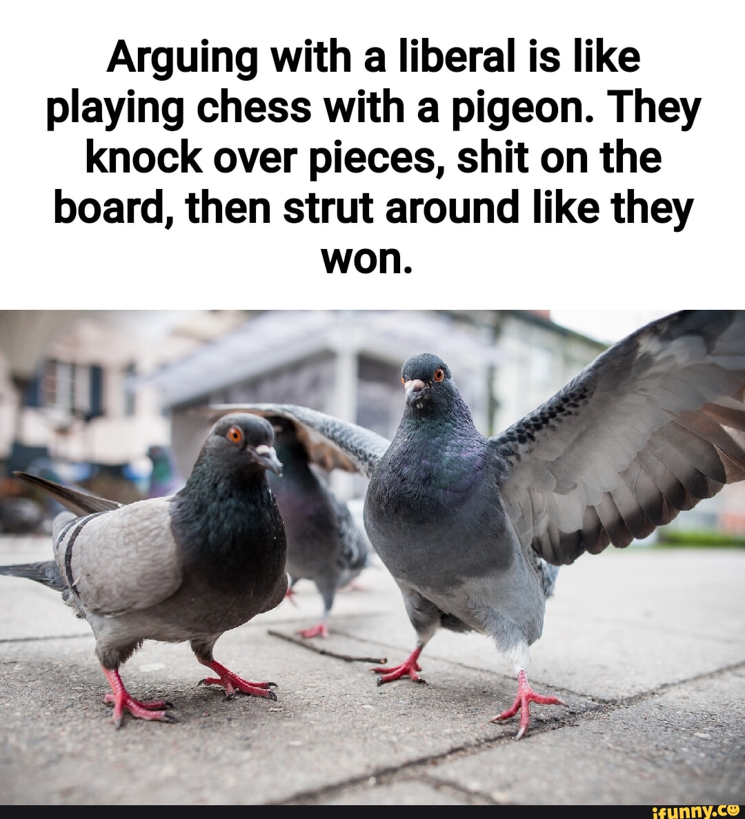 Arguing with a liberal is like playing chess with a pigeon. They knock ...